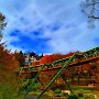 Herbstlicher Schwebebahnanblick am Loh